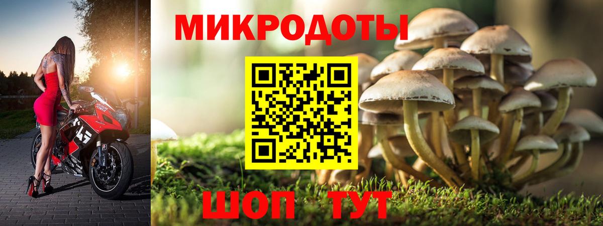 Псилоцибиновые грибы мухоморы Муром